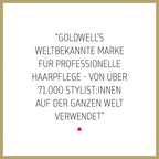 Goldwell Dualsenses Rich Repair Restoring Serum Spray 150ml