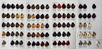 Trend toujours Color 100ml