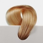 Mittelblond Gold 31